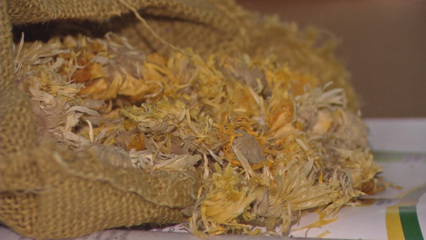 Neiskorišćeni potencijali uzgoja lekovitog bilja