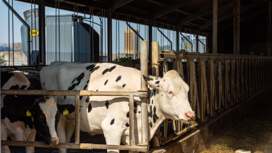 Revolucija na farmi: Nova aplikacija, stroj za opskrbu svježom travom i proizvodnju gnojiva