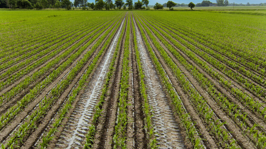 Uz mrežni konfigurator efikasnije planiranje stalnih tragova u usevu