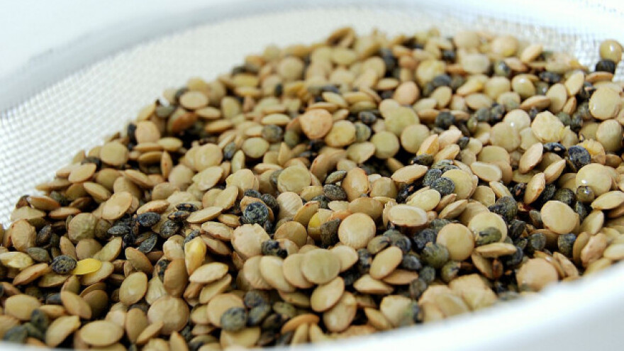 Sočivo - gajenje i hranljiva svojstva