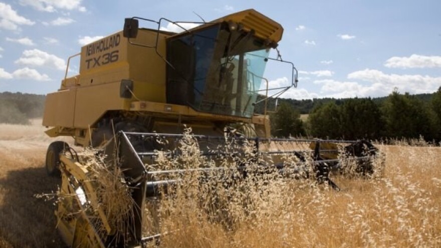 Upitna kvaliteta europskih usjeva - cijene u padu