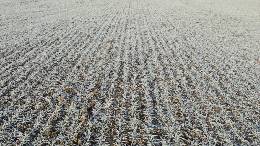 Stiže crna ratarska zima