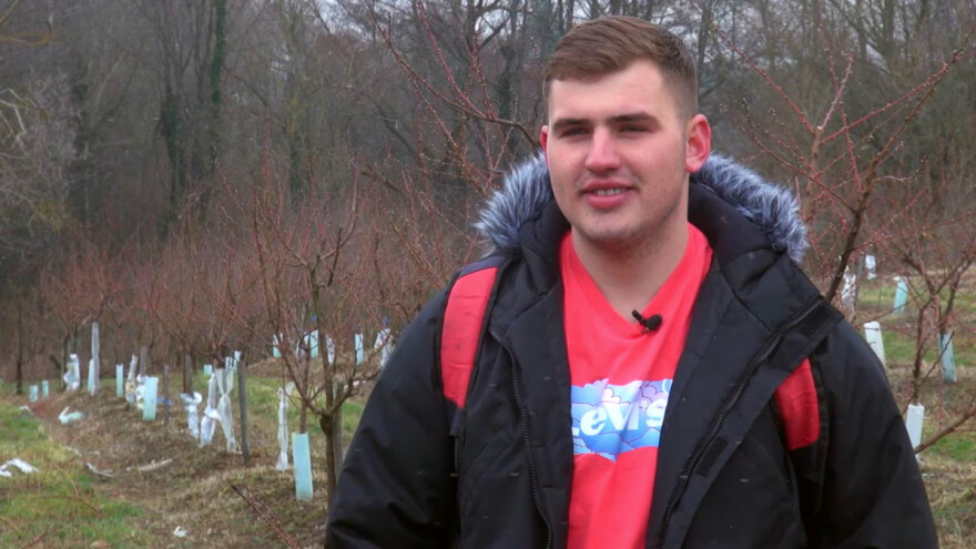 Gabrijel Leopoldović: Zbog straha od mraza rezidbu bresaka popravit ćemo u svibnju