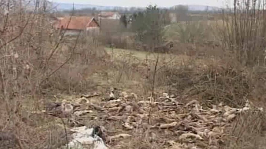 Pronađeno više od 50 odranih leševa predatora