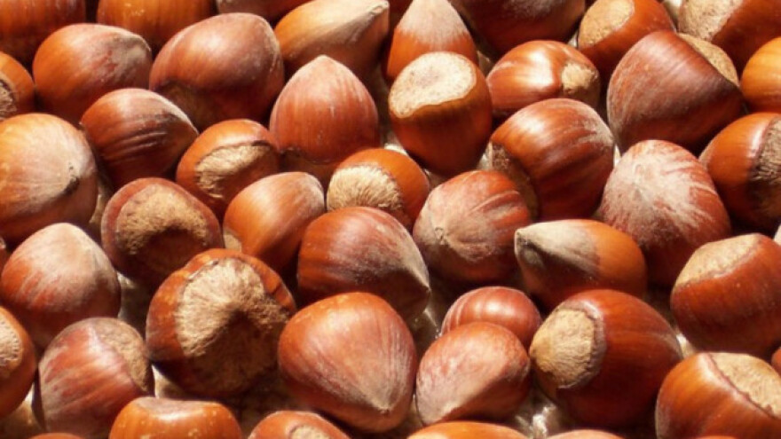 Lešnik - dobra cena i otvoreno tržište