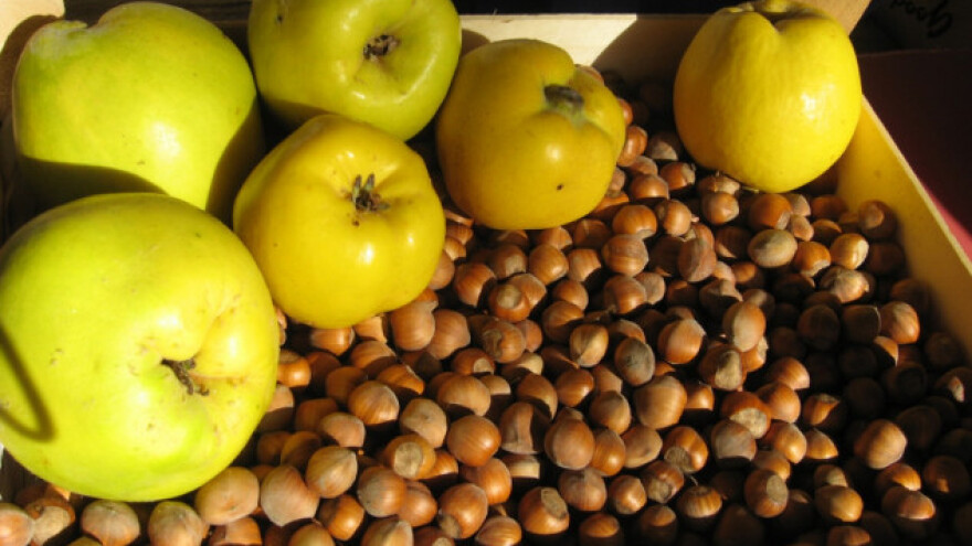 Lešnik bi više da gaje ljudi iz grada nego iz sela