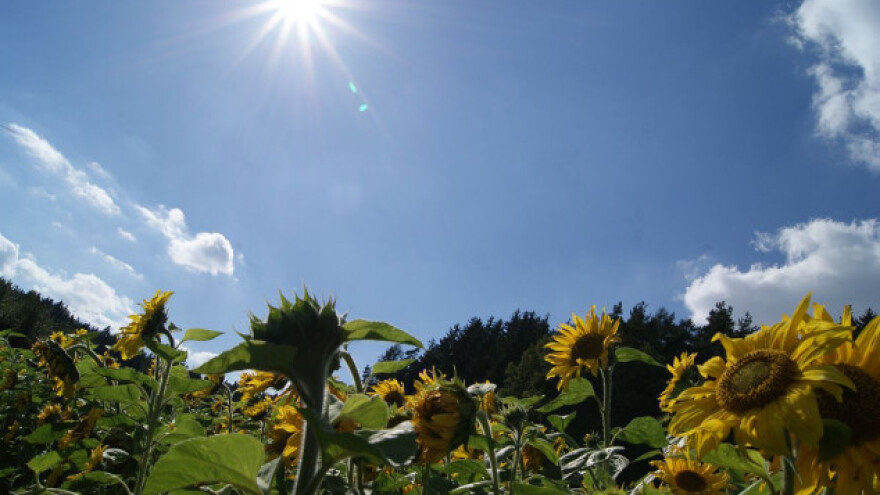 Od četvrtka svežije, pa opet vrućine