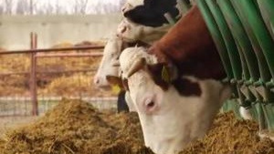 Negativna slika hrvatskog mljekarstva