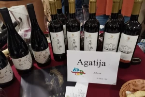 Levačka vina kao iz francuskog Bordoa - sličnost klime?