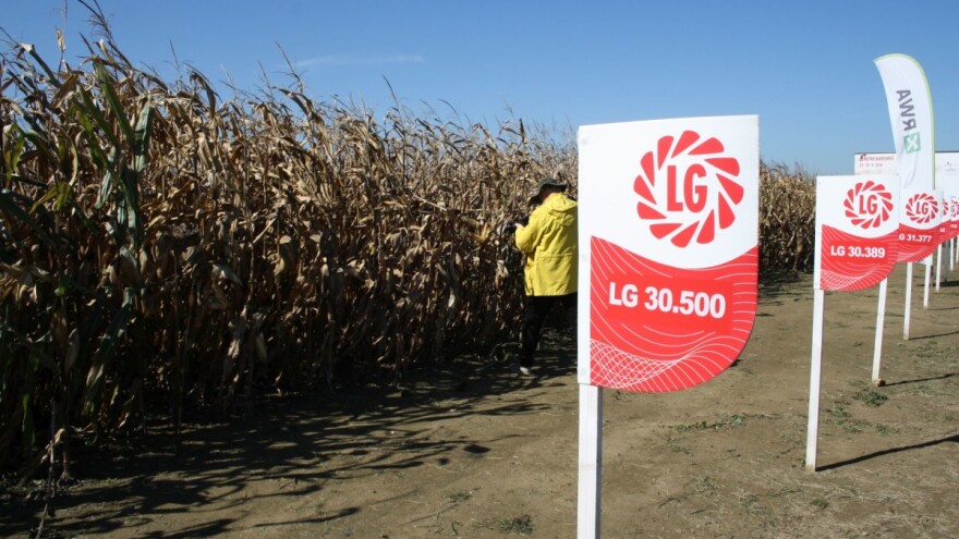 RWA hibrid LG 30.500 nadmašio slavnog AGRISTERA