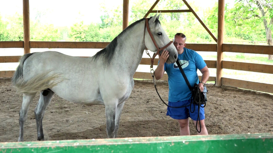 Uspješna licitacija na ergeli Vučijak - kolika im je bila početna cijena?