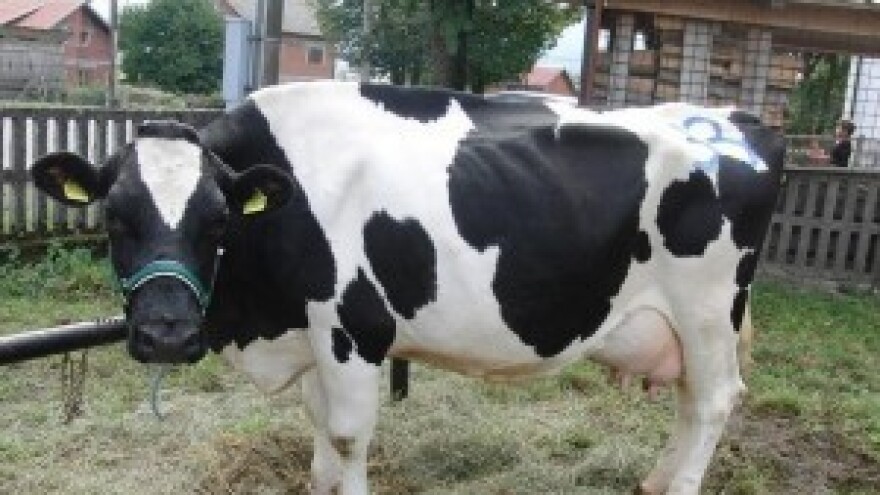 Dok se igramo ruralnog razvoja - selo izumire