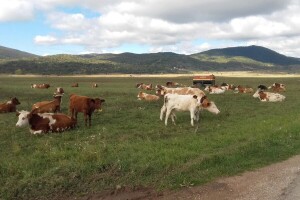 Postaju li lička sela farme na otvorenom?