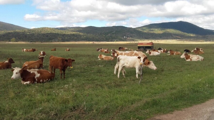 Postaju li lička sela farme na otvorenom?