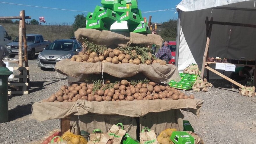 Lika je nekada proizvodila 70 tisuća tona krumpira godišnje, danas tek tisuću tona krumpira koji jedva pronalaze put do kupca