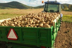 Drvna industrija na koljenima, turizam i poljoprivreda u problemima, kako dalje?