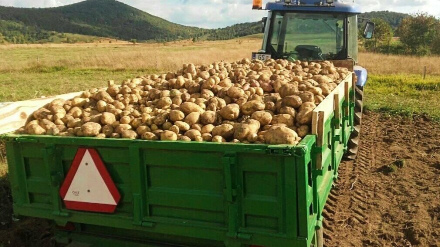 Drvna industrija na koljenima, turizam i poljoprivreda u problemima, kako dalje?