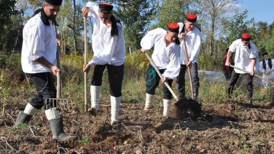 Bloger Krule - najveći fan Ličkog krumpira!