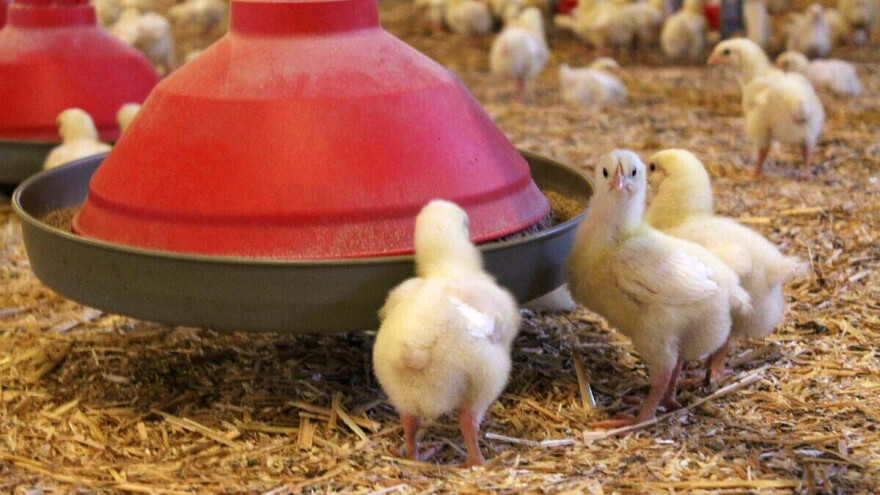 Mi to možemo: Krizu prebroditi djelovanjem javno-privatnog partnerstva u tri ključne grane