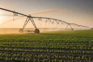 Lideri u navodnjavanju - ali i zapošljavanju!