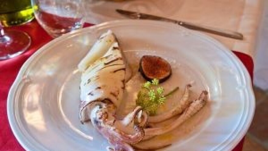 Dani jadranskih lignji