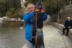 Šetao uz more, primijetio da mu se nešto događa oko barke pa ulovio lignjuna teškog 6,4 kg!