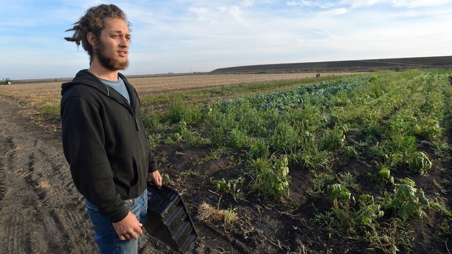 EU financira poticanje eko poduzetništva u agraru!