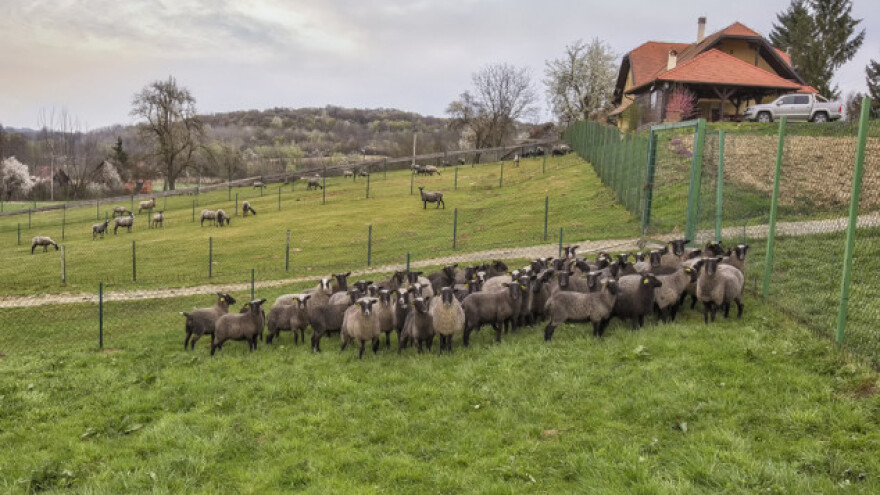 Objavljen natječaj za proizvođačke organizacije