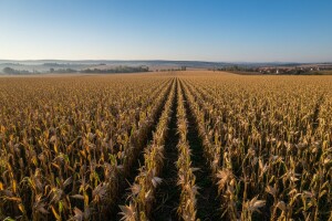 Lijepo i sunčano do kraja mjeseca!