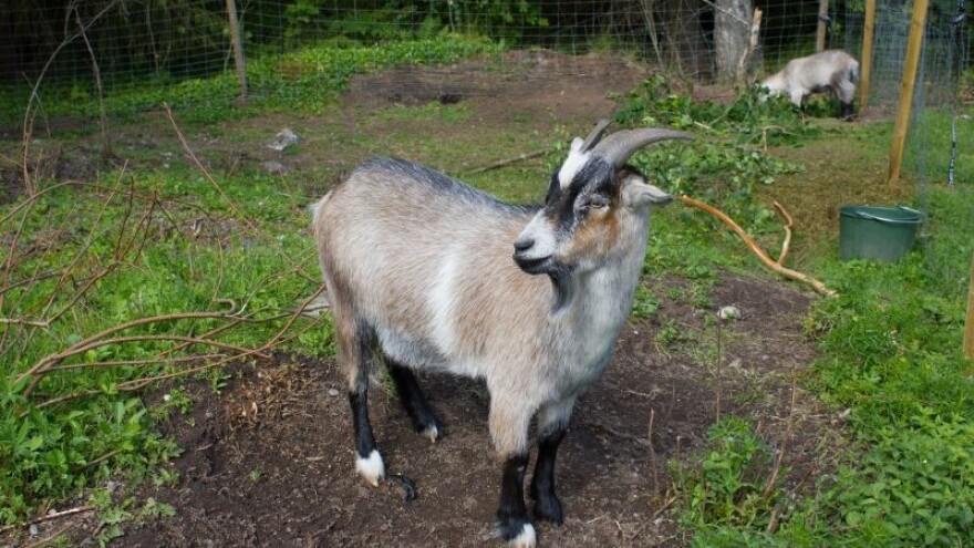 Suho i toplo i u prosincu!