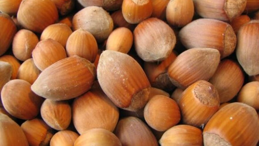 Radionica za uzgajivače lijeske