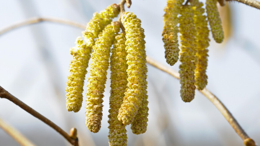 Može se uspjeti u poljoprivredi, ali treba dobro odvagnuti s čim se baviti