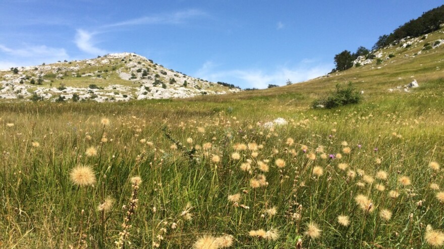 Lika i Mali Lošinj uvršteni među Top 100 svjetskih održivih zelenih destinacija!