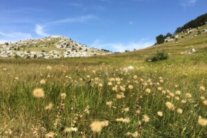 Ličke planine - više od sunca i mora