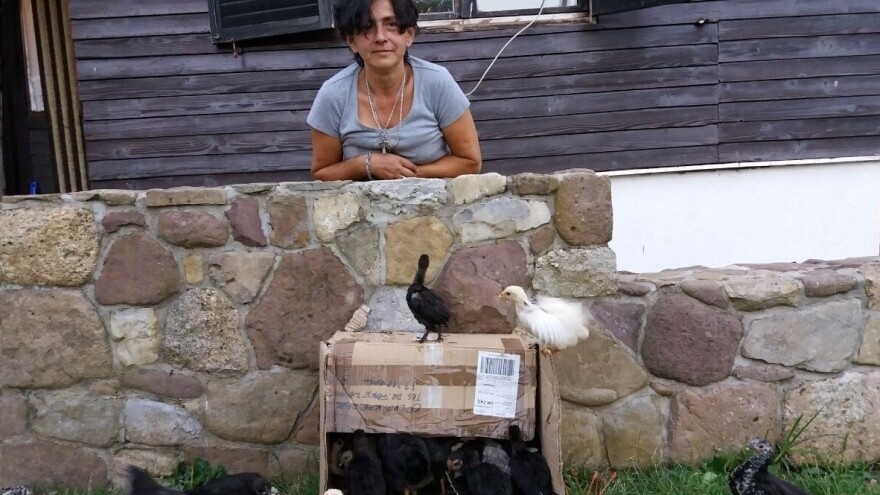 Eko proizvodi s Velebita obitelji Pavelić: Nije važno koliko imaš već koliko ti treba