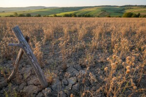 Linić: Zločin je imati poljoprivredno zemljište i ne obrađivati ga