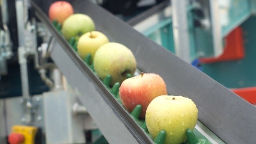 1,8 mil. kuna za preradu voća i povrća