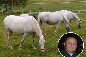 V.d. ravnateljem Državne ergele Đakovo i Lipik imenovan Damir Jakšić