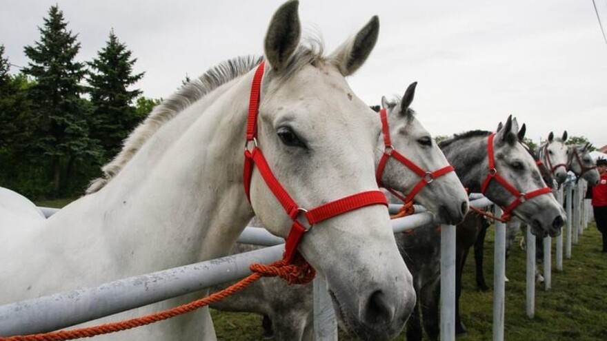 Đakovo Expo Zlatne ruke - jubilarni 10. Sajam poljoprivrede, obrtništva i gospodarstva