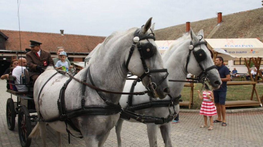 Konjičko-lovačka svečanost Sveti Hubert