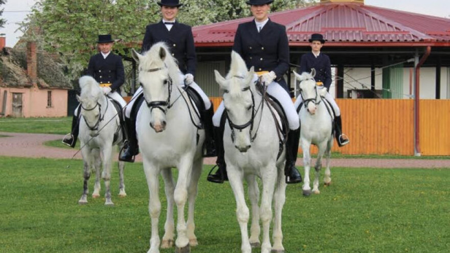 U nedjelju i finale kupa u dresurnom jahanju
