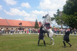 Lipicanci dobivaju novu ergelu i hipodrom