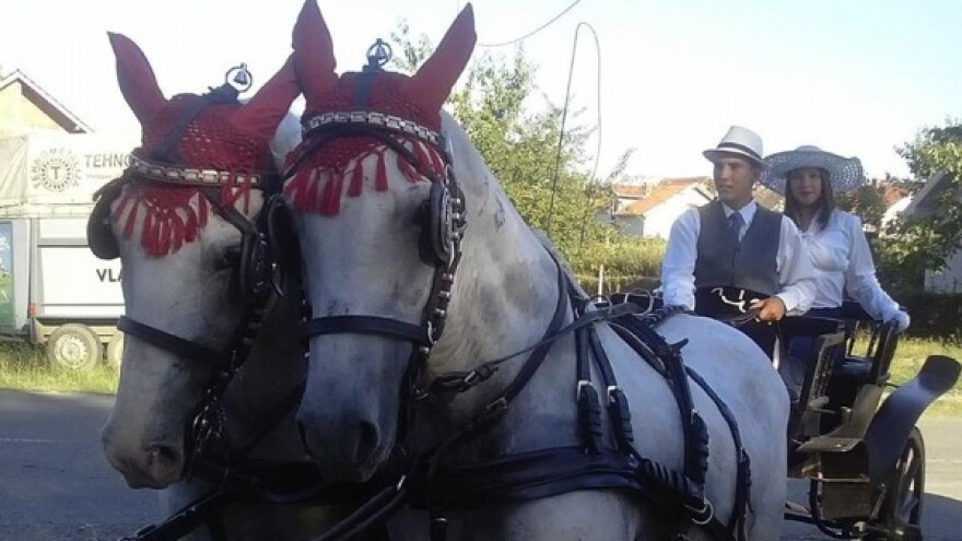 Poljoprivredno gazdinstvo nadomak gradske vreve