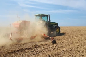 Počela sjetva uljane repice, obratiti pažnju na suzbijanje korova