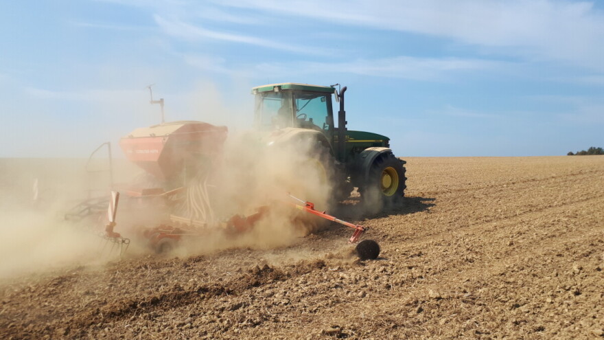Hoće li biti smanjene površine pod uljanom repicom? Mnogi odustaju od ove kulture!