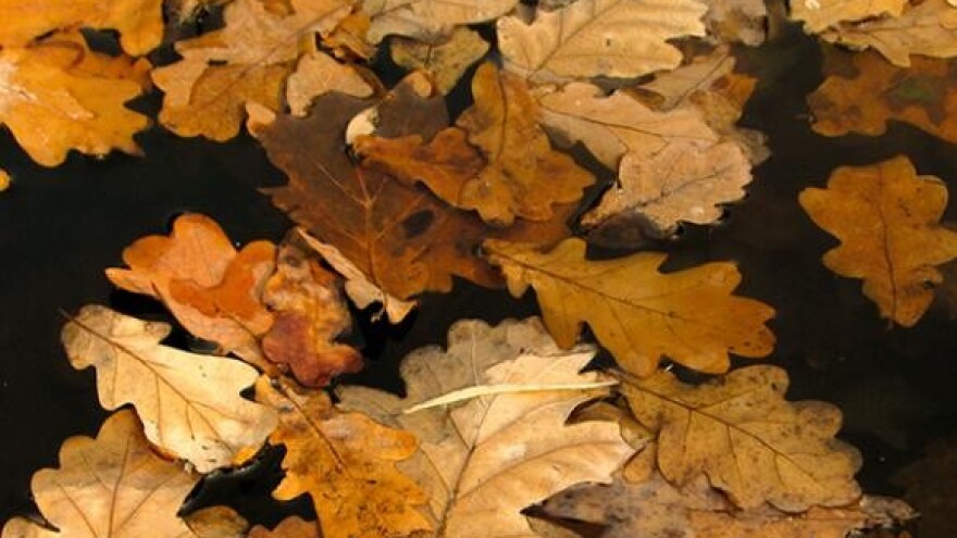 Manifestacija koja čuva ličku tradiciju i zanate