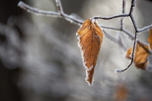 Hladno i većinom suvo