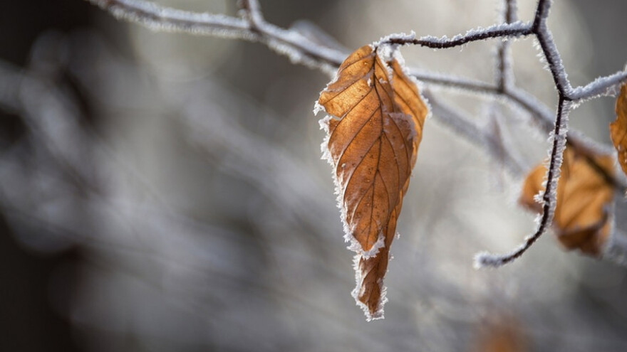 Hladno i većinom suvo