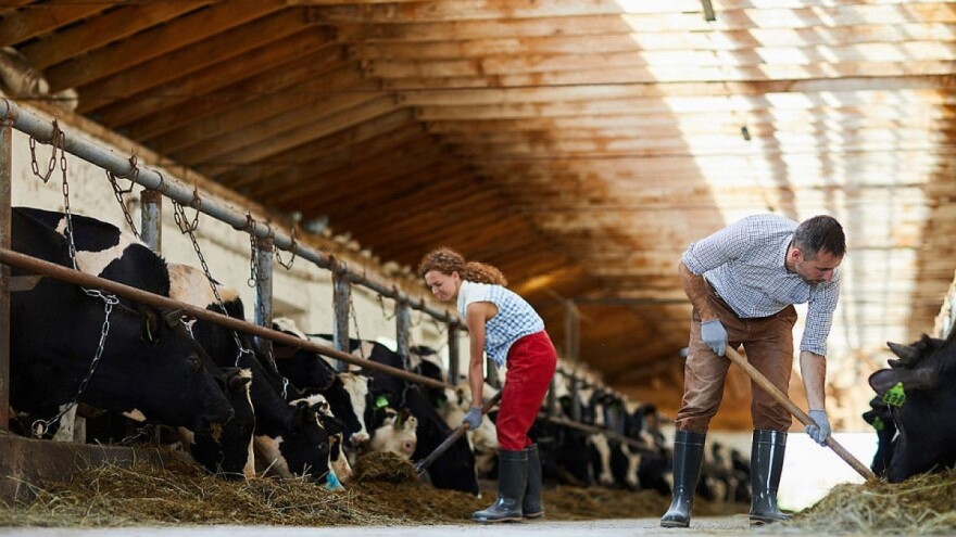 Pomoć za obrte u iznosu od 60 miliona KM, koji su uslovi dodjele?