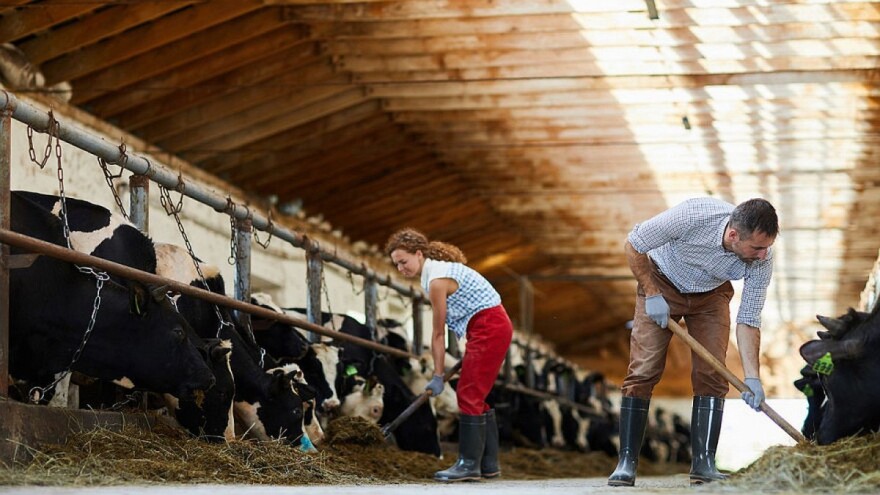 Objavljena lista korisnika potpore u poljoprivredno - prehrambenom sektoru